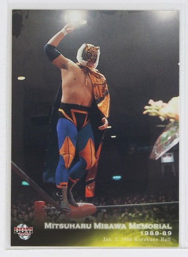 Mitsuharu misawa 2009 - misawa,