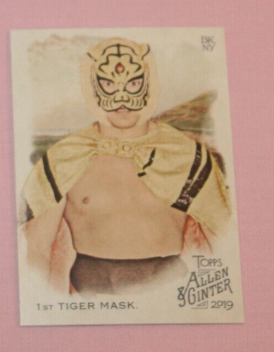 1st tiger mask 2019 - tiger, allen