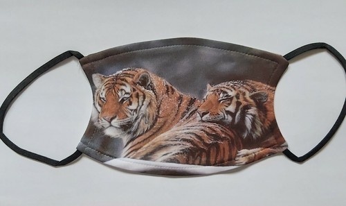 Tiger art originale - art, copri