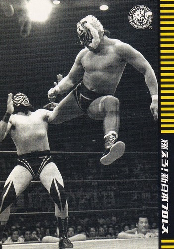 Tiger mask 2012 shueisha - tiger,