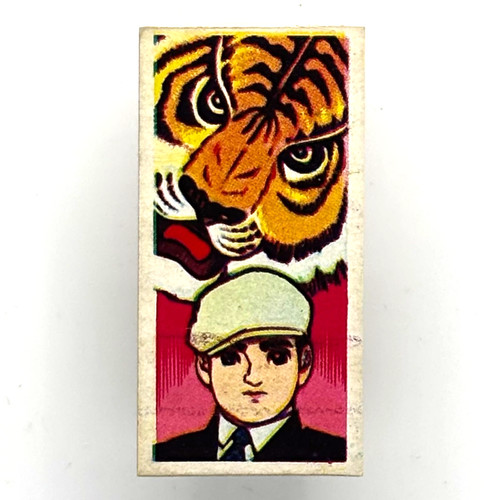 Maschera tigre vintage naoto - maschera,
