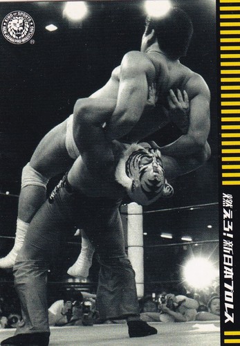 Tiger mask 2013 - tiger,